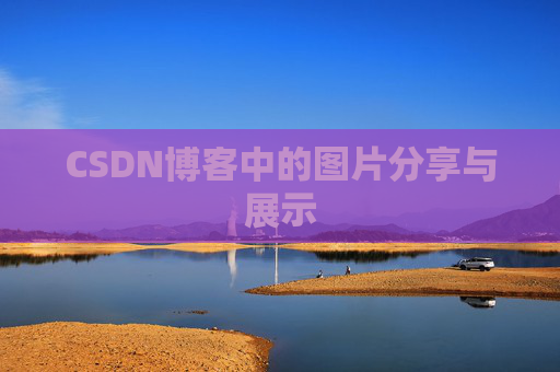 CSDN博客中的图片分享与展示